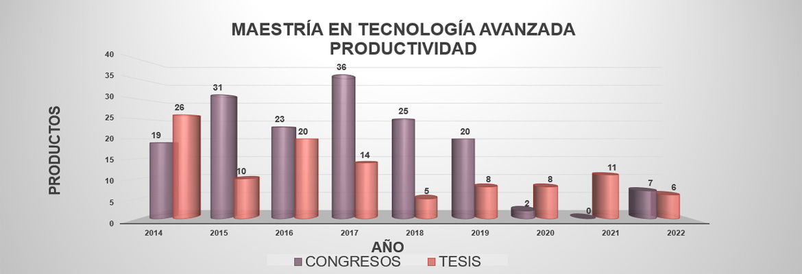 Productividad Maestría